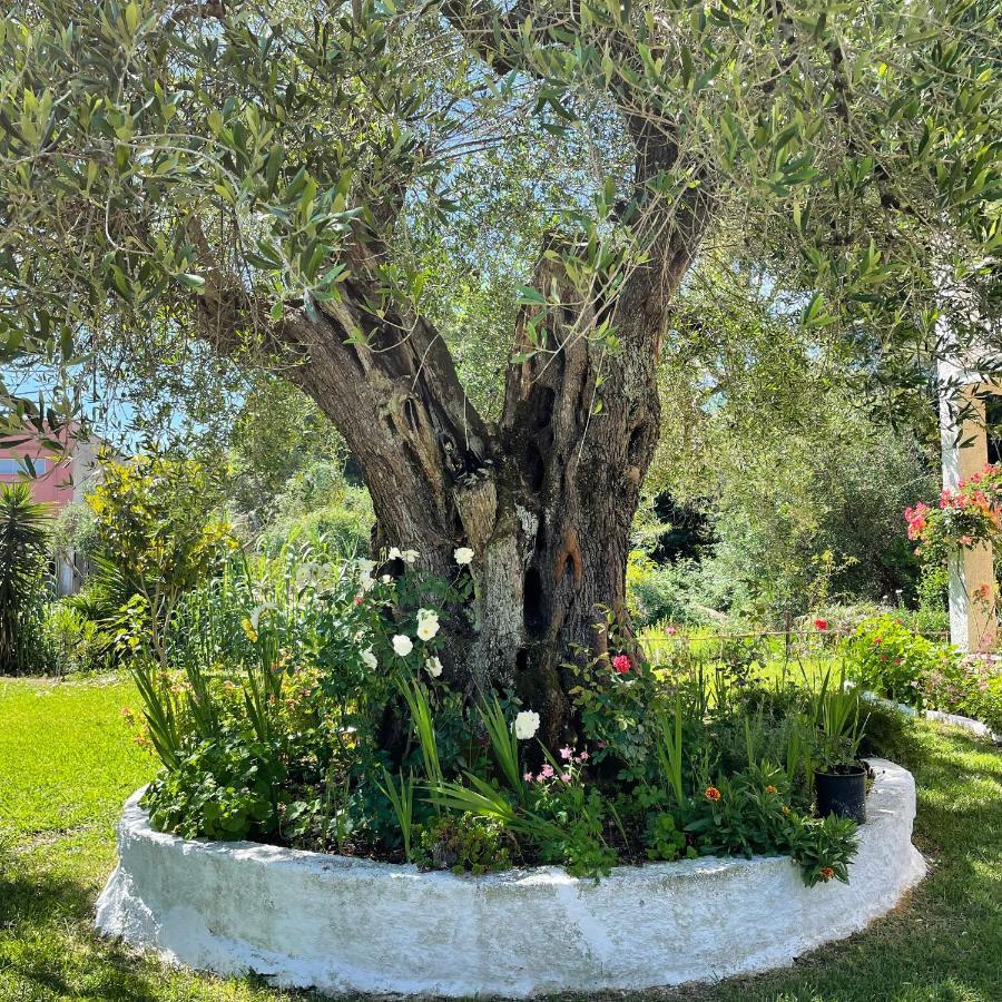 Apartament Petros Moraitika