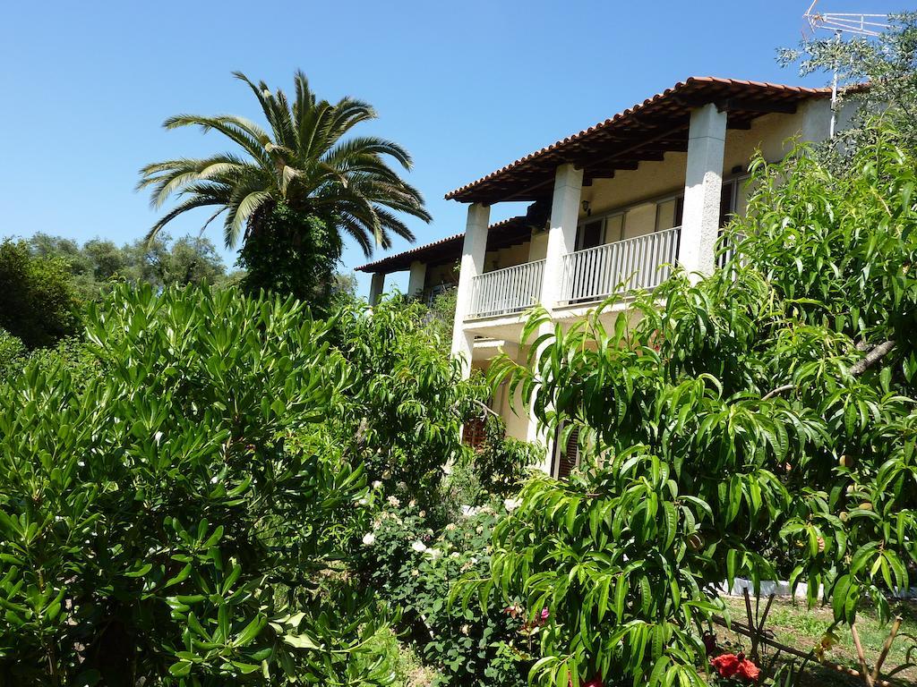 Petros Moraitika
