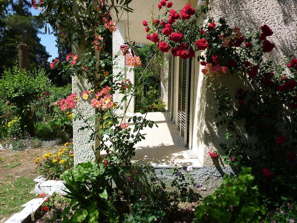 Petros Apartament